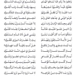 أُمُّ الُّلغَاتِ – د. غالب مصري