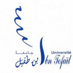 لحن القول : الواسطة !! – أ.د. عبدالعزيز الحربي