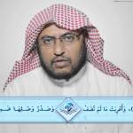 المنتقى من فتاوى اللغة والتفسير 16