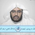 المنتقى من فتاوى اللغة والتفسير 20 – من هم أصحاب الأعراف؟ وما وجه تخصيصهم بالرجال؟