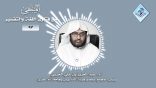 المنتقى من فتاوى اللغة والتفسير 08