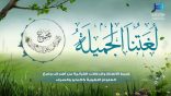 لغتنا الجميلة 10 – ضبط الألفاظ والدلالات القرآنية من أهداف وضع العلوم اللغوية كالنحو والصرف