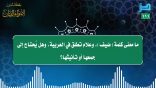 مقتطفات 111 – ما معنى كلمة (ضيف)، وعلام تطلق في العربية؟