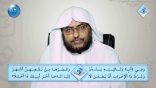 #نثر الألفية (الحلقة الثانية عشرة) – لـ أ.د. عبدالعزيز الحربي