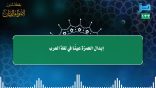 مقتطفات 133 – حكم إبدال الهمزة عينًا في لغة العرب؟