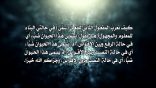 المنتقى من فتاوى اللغة والتفسير 153 – كيف نُعرب المفعول الثاني للفعل (سَمَّى)؟