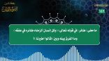 مقتطفات 157- ما معنى (طائر) في قوله تعالى: (وكل إنسان ألزمناه طائره في عنقه)….؟