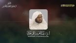 المنتقى من فتاوى اللغة والتفسير 160 – متى تحذف همزة الوصل من الأفعال في القرآن الكريم؟