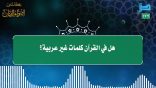 مقتطفات177- هل في القرآن كلمات غير عربية؟