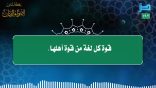 مقتطفات 193- قوة كل لغة من قوة أهلها.