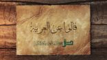 قالوا عن العربية 21
