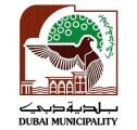 «العربية» سيدة اللغات في معاملات بلدية دبي