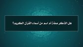 مقتطفات 48 – هل الذكر صفة أم اسم من أسماء القرآن الكريم؟