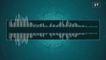 مقتطفات 52 – ما التحقيق في القاعدة المشهورة بأنَّ الأسماء لا تُعلل؟