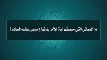 مقتطفات 62 – ما المعاني التي جمعتها آية الأمر بإرضاع موسى – عليه السلام -؟