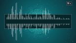 مقتطفات 70 – هل يقال للولد «بَزْرٌ»؟ وما الفرق بين «البَذر» و«البَزْر»؟