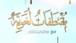 مقتطفات لغوية 76- الدعوة إلى الحد من الإسراف في كتابة الرسائل العلمية
