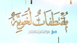 مقتطفات لغوية 81 – مواضع كلمة (القواعد) في القرآن الكريم؟