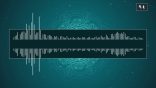 مقتطفات 94 – هل استُخدمت الكلمات: «كُبَّارا» و«دَيَّارا» قديمًا؟