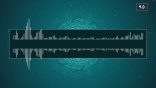 مقتطفات 95 – هل يتحول المعدود بعد العشرة إلى مفرد؟ وما السبب؟